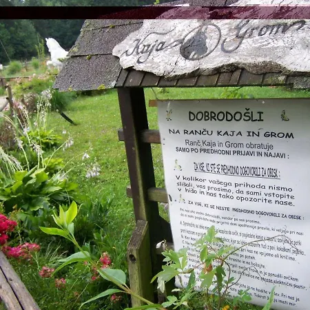 Guest house King At Ranch Kaja&grom Vojnik